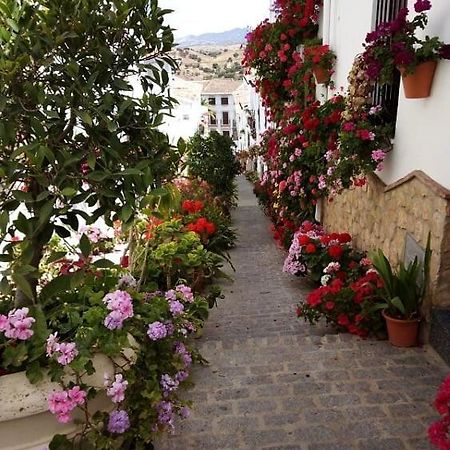 Casa De Las Flores - A Picture Perfect Location! 埃尔加斯托尔 外观 照片