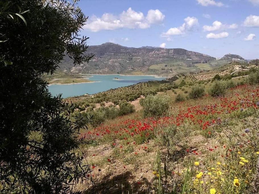Casa De Las Flores - A Picture Perfect Location! 埃尔加斯托尔 外观 照片
