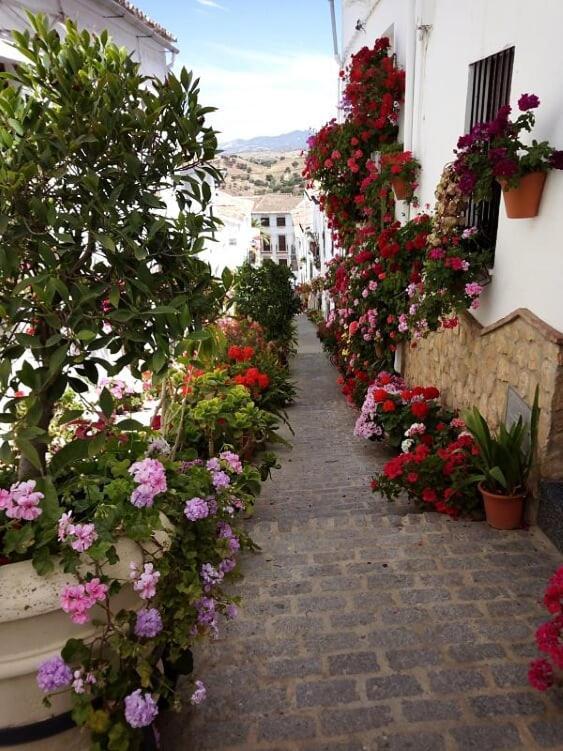 Casa De Las Flores - A Picture Perfect Location! 埃尔加斯托尔 外观 照片