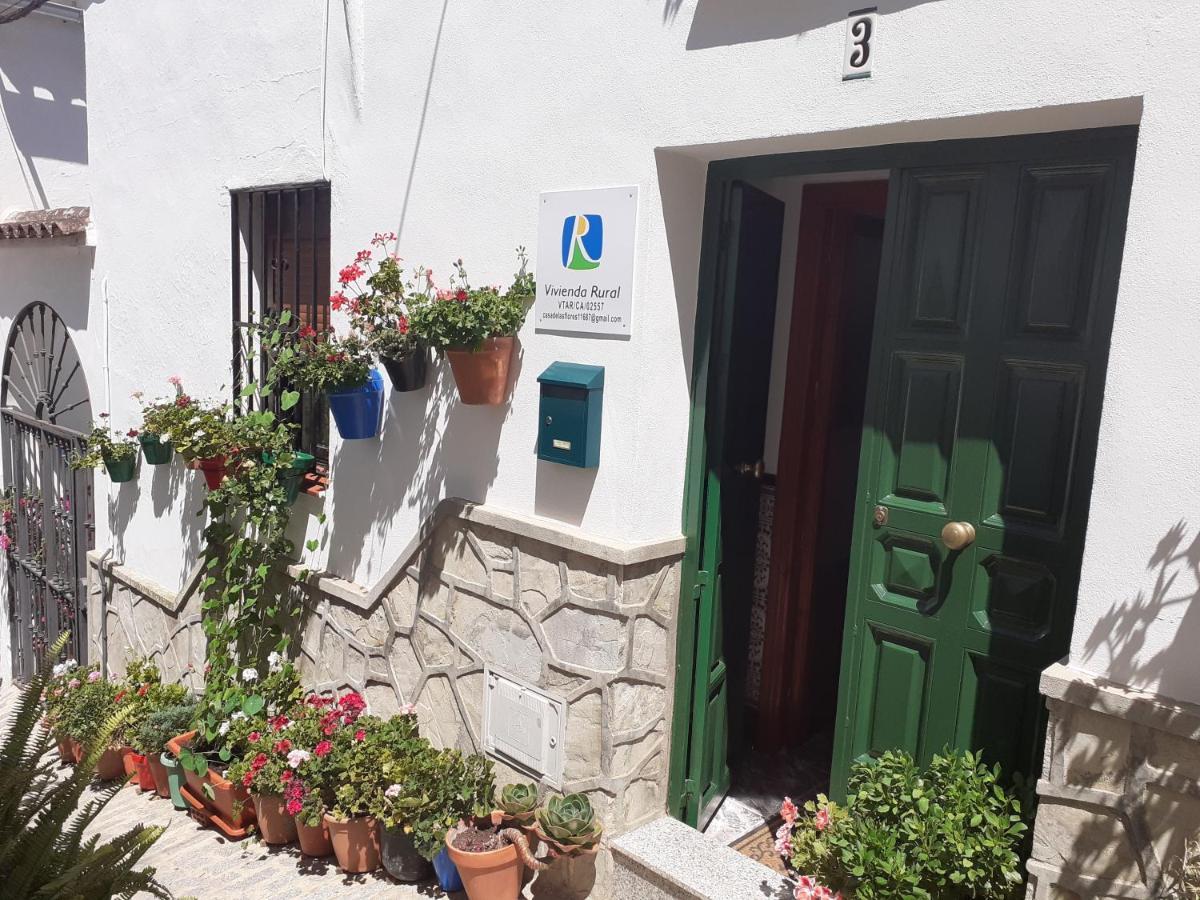 Casa De Las Flores - A Picture Perfect Location! 埃尔加斯托尔 外观 照片