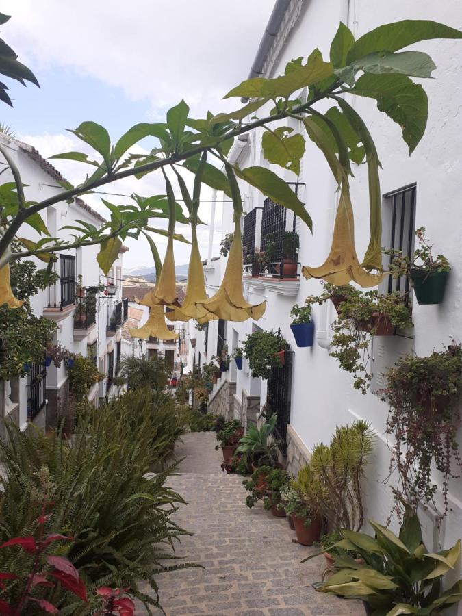 Casa De Las Flores - A Picture Perfect Location! 埃尔加斯托尔 外观 照片