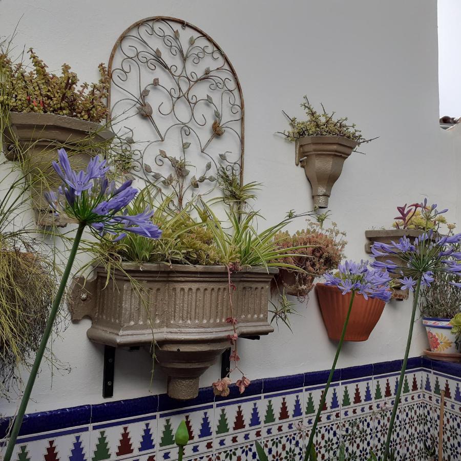 Casa De Las Flores - A Picture Perfect Location! 埃尔加斯托尔 外观 照片